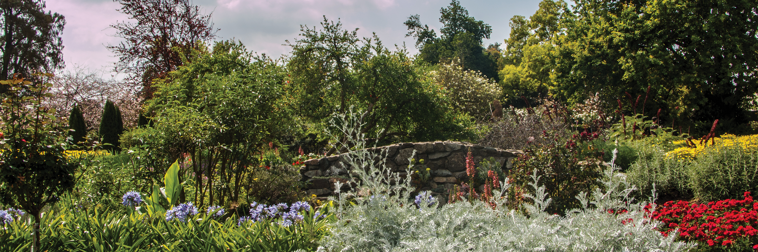 SBA Loans: How Ian Cameron Knew He Was on the Right Path 