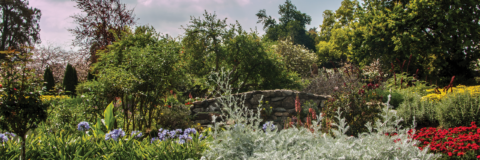 Scale Bank SBA Loan for Landscaping business|Ian Cameron landscape maintenance|SBA Preferred Lender